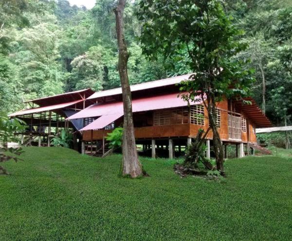Safio. Una Casa En El Paraiso. Nuquí Exterior photo